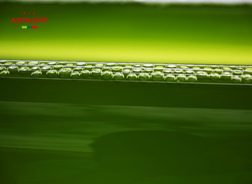 ����ǰ�� | �������о�����ֲ���T�� �r���طe��